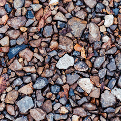 Wet stones in the park on the road, paving stones. In the city by the wayside. Autumn day colorful boulders.