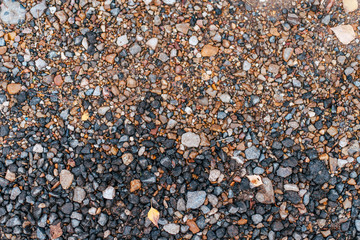 Wet stones in the park on the road, paving stones. In the city by the wayside. Autumn day colorful boulders.