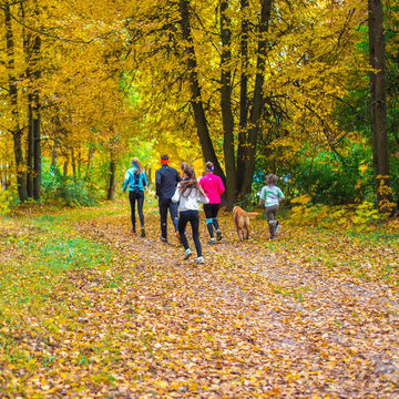 Running athletes in the park on a run in the early morning. Several children are running in the woods doing sports. Healthy lifestyle.