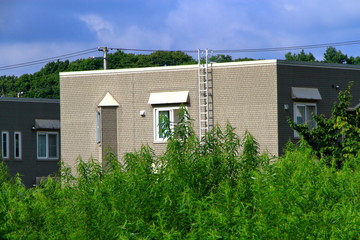 Landscape with the form of a square house