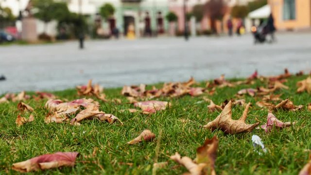 Autumn in a city square - timelapse with slowly moving camera in front of fallen leaves and blurry town life