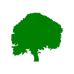 Tree silhouette icon
