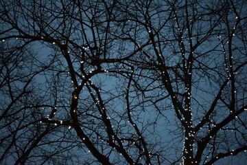 lights on tree christmas decoration