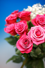 バラの花
