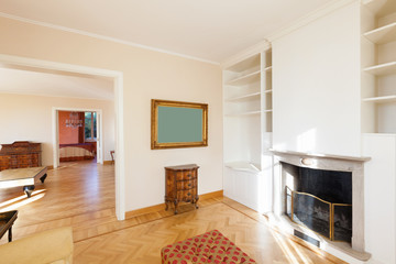Noble living room with fireplace