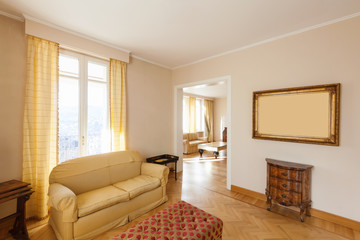 Noble living room with fireplace