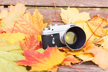 Old camera on wood table with autumn leaves