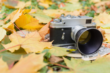 Old camera  and old photos on autumn leaves close up