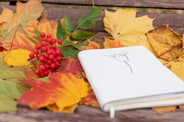 Old notepad with drawing and rowan in autumn leaves