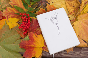 Notepad with drawing and rowan in autumn leaves