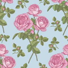 Vector floral seamless pattern with bouquets of pink roses in vintage style 