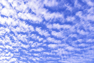 Fototapeta premium blue sky with white clouds in fall season