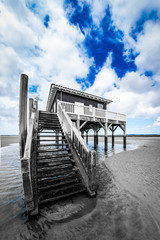 beautiful house in the basin of Arcachon