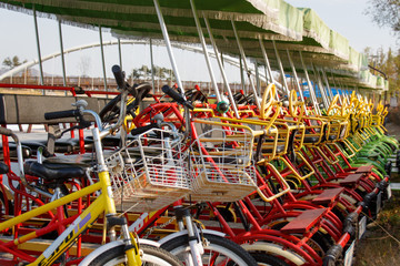 Bicycle rental in park