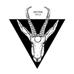 gazelle in a triangle.Can be used for printing on T-shirts, flyers and stuff abstract drawing. vector illustration.