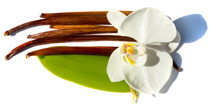 orchid&eacute;e sur gousses de vanille
