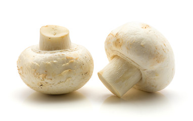 Two champignons isolated on white background raw.
