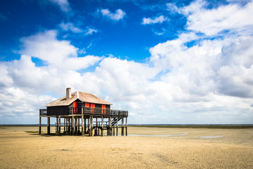 beautiful house in the basin of Arcachon