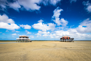 beautiful house in the basin of Arcachon