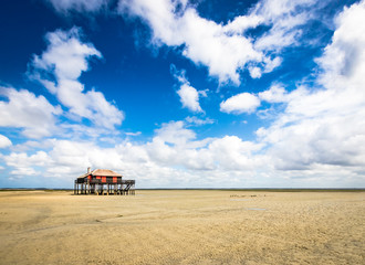 beautiful house in the basin of Arcachon