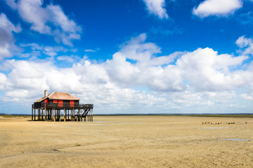 beautiful house in the basin of Arcachon