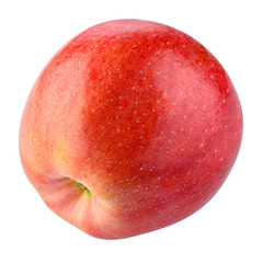 Red apple. Apple isolated on white. With clipping path