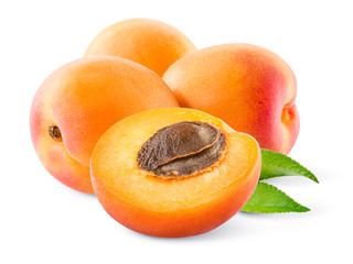 Apricot. Apricots isolated on white.