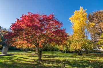 Autumn walks in the beautiful city of Karlovy Vary (Carksbad) and its surroundings, Bohemia,...