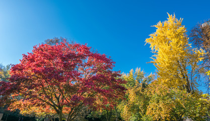 Autumn walks in the beautiful city of Karlovy Vary (Carksbad) and its surroundings, Bohemia,...