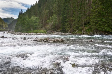 Fotobehang Rivier rapid river and beautiful nature from Norway  © nedomacki