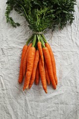 Carrots. Bunch of fresh carrots with greenery. Overhead view