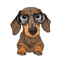 A dog in glasses. Hipster dog. Vector illustration