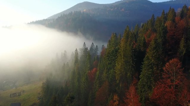 Aerial view of the mountains with a morning fog