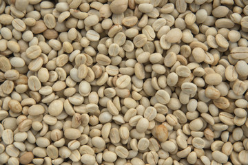 close up of raw material green coffee beans for background.