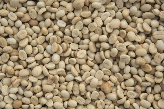 close up of raw material green coffee beans for background.
