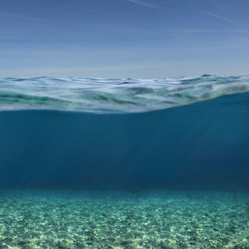 Fototapeta Sea or ocean underwater background