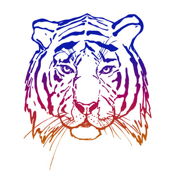 Tiger. Head. Wild animal. The logo for your design. Hand drawn.