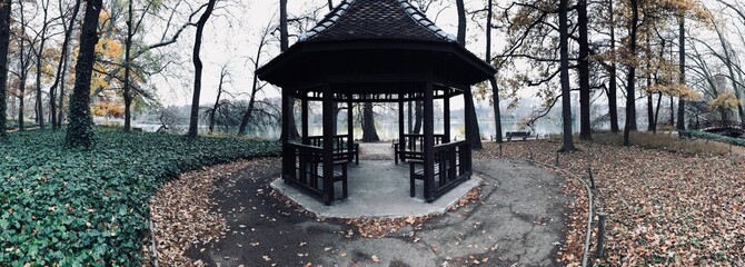 Automne - Hiver