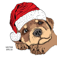 The Christmas poster with the image dog portrait in Santa's hat. Vector illustration.