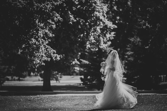 Black and white phoro beautiful brunette bride on a walk in park