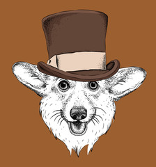A smiling dog  in old hat. Vector illustration