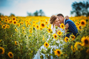 Fototapeta premium bride and groom against the background of a field of sunflowers