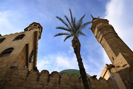 Palm and Mosque