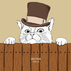 A cat in old hat on a fence. Background for advertising or inscriptions.Vector illustration.