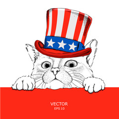A cat in old American hat with a flag. National Symbols of the USA. Vector illustration 