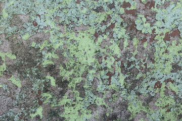 texture Old concrete wall, background