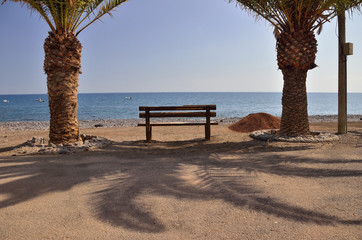 bench sea and palm