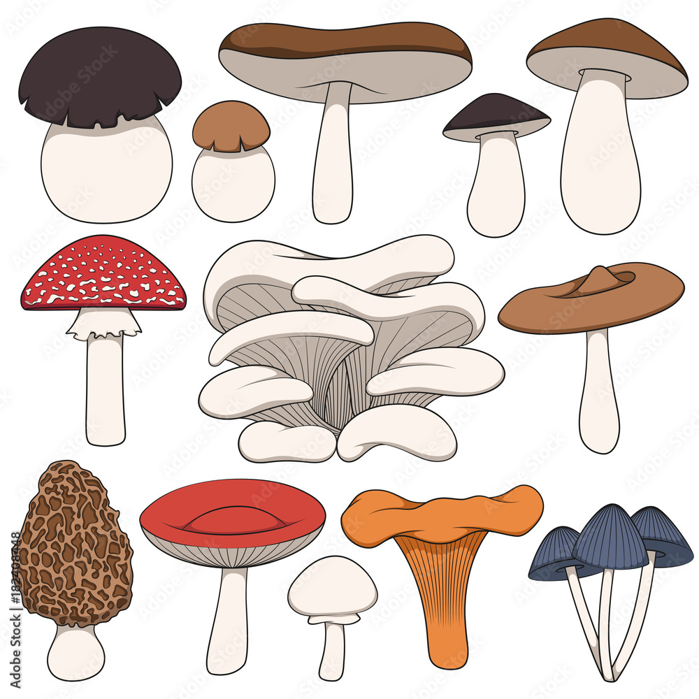 Aufkleber set of color images of mushrooms. isolated vector objects on white background.