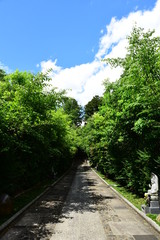 road to japanese temple, Rinnoji in Sendai