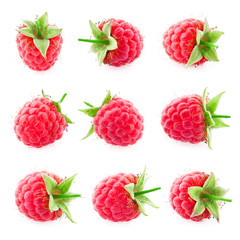 Raspberry isolated. Raspberry on white. Raspberries. Top view. Collection.